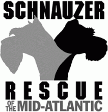 Schnauzer Rescue Of The Mid-Atlantic
